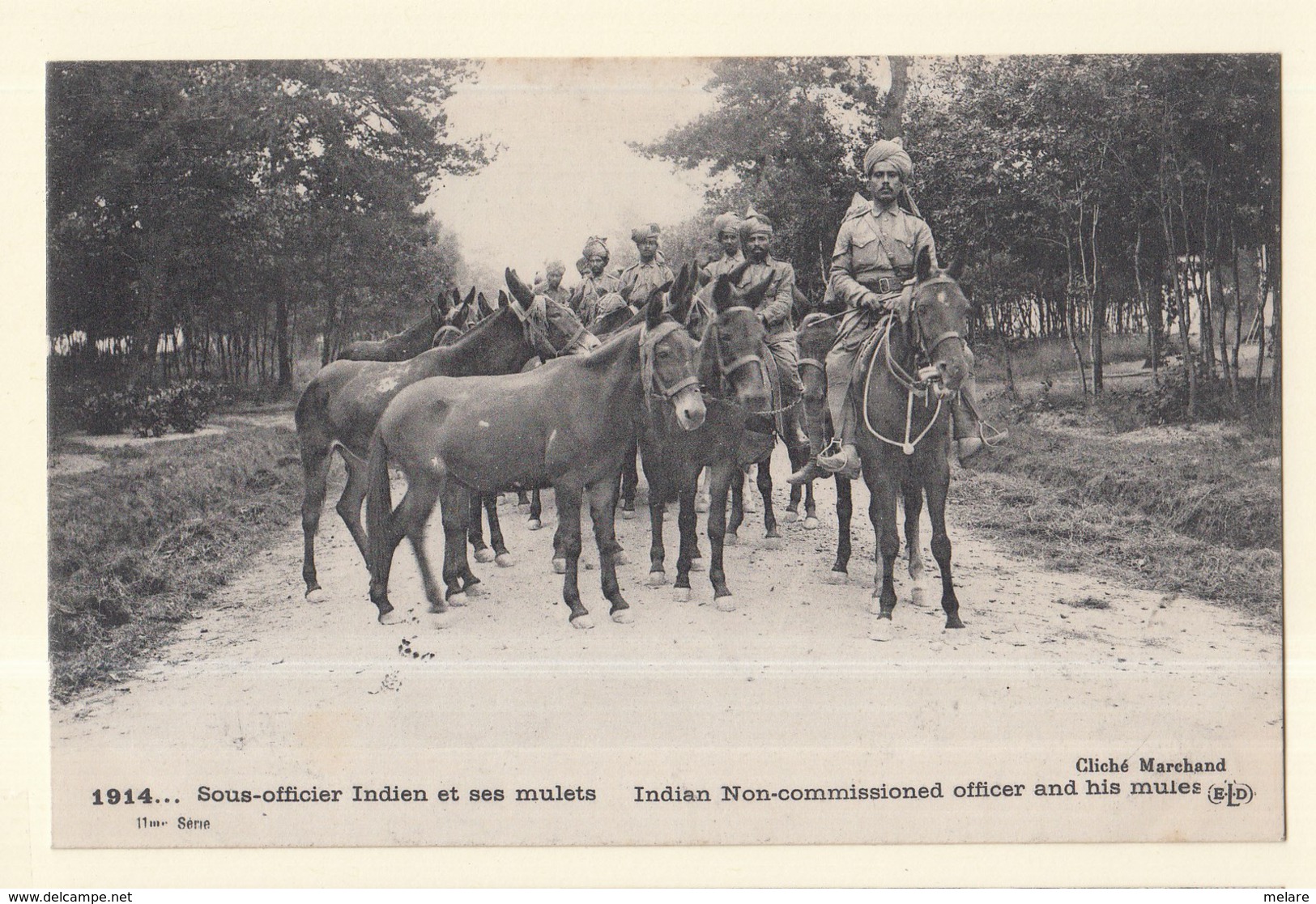 Militaria Guerre 1914 Sous Officiers Indiens Et Ses Mulets - Guerre 1914-18