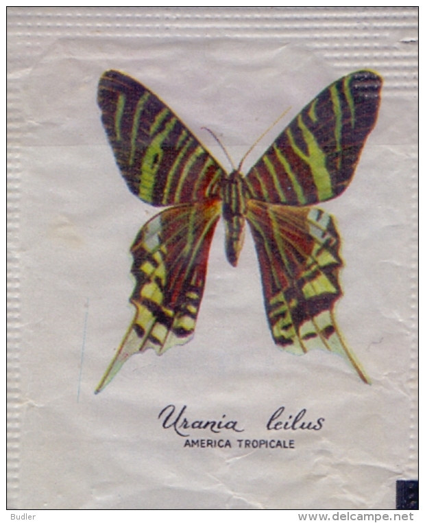 ITALIA : Suikerzakje/Sachet De Sucre/Sugar Package : VLINDER,PAPILLON,BUTTERFLY  ## Urania Leilus – AMERICA TROPICALE ## - Sucres