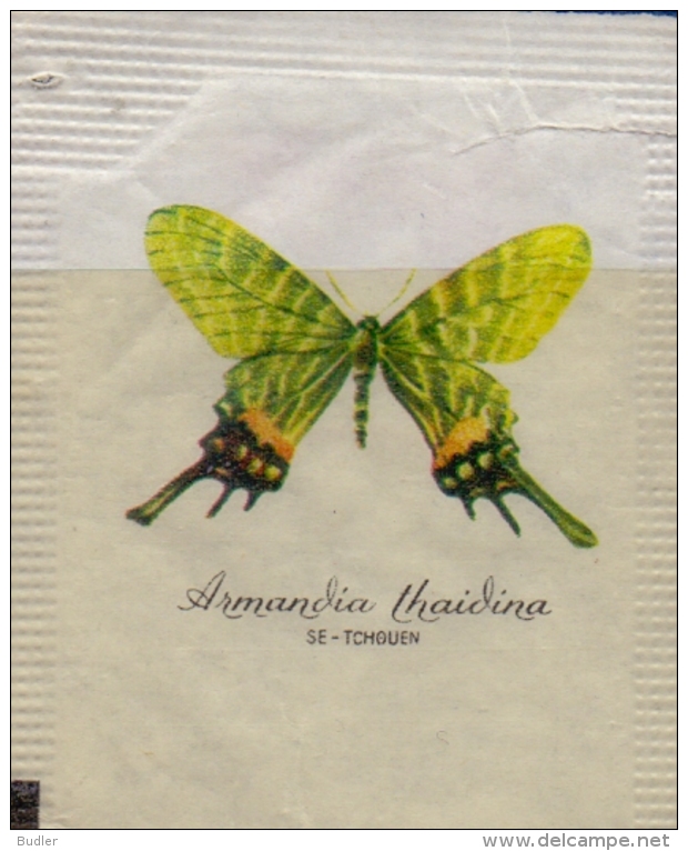 ITALIA : Suikerzakje/Sachet De Sucre/Sugar Package : VLINDER,PAPILLON,BUTTERFLY,  ##Armandia Thaidina – SE-TCHOUEN## - Suiker