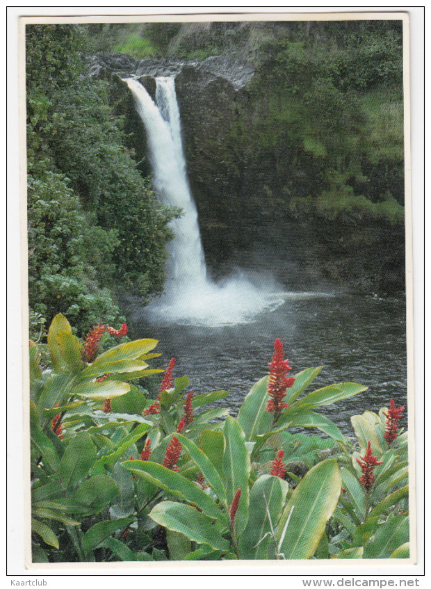 Rainbow Falls Near Hilo , Home Of The Mythical Goddess Hina  - ( Hawaii - USA) - Hilo