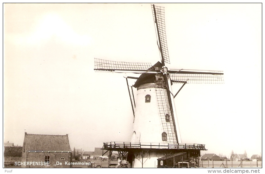 Scherpenisse : De Korenmolen ( Molen ) - Tholen