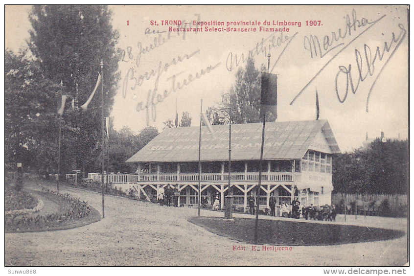 St Truiden - Saint Trond - Exposition De Limbourg 1907 - Restaurant Select Brasserie Flamande (animation, 1907) - Sint-Truiden