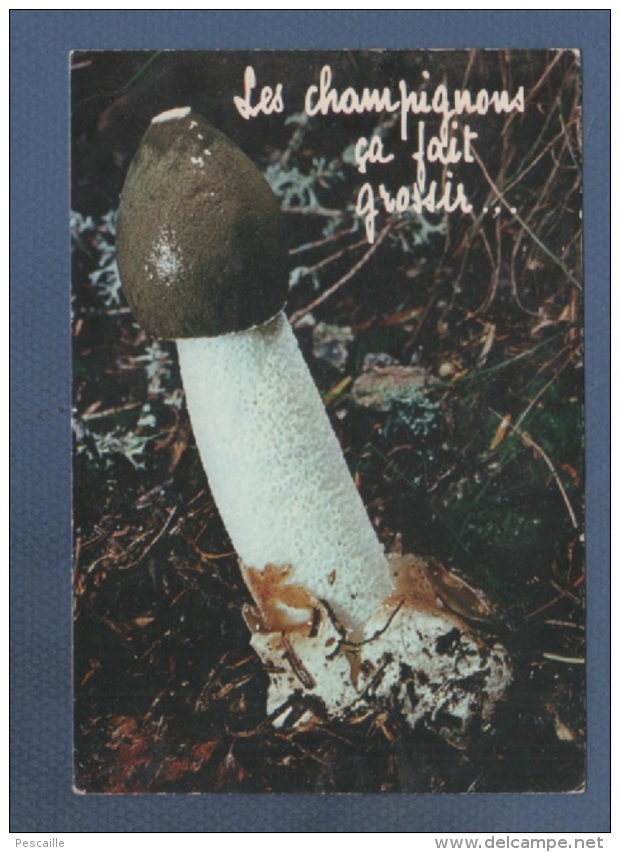 CP LES CHAMPIGNONS CA FAIT GROSSIR ... - COLLECTION ORION PARIS N° 8015 - Mushrooms