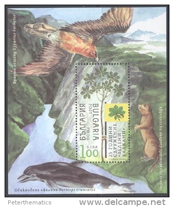 BULGARIA ,2013 ,MNH, ANIMALS, DOLPHINS, BIRDS, MOUNTAINS, S/SHEET - Dolphins