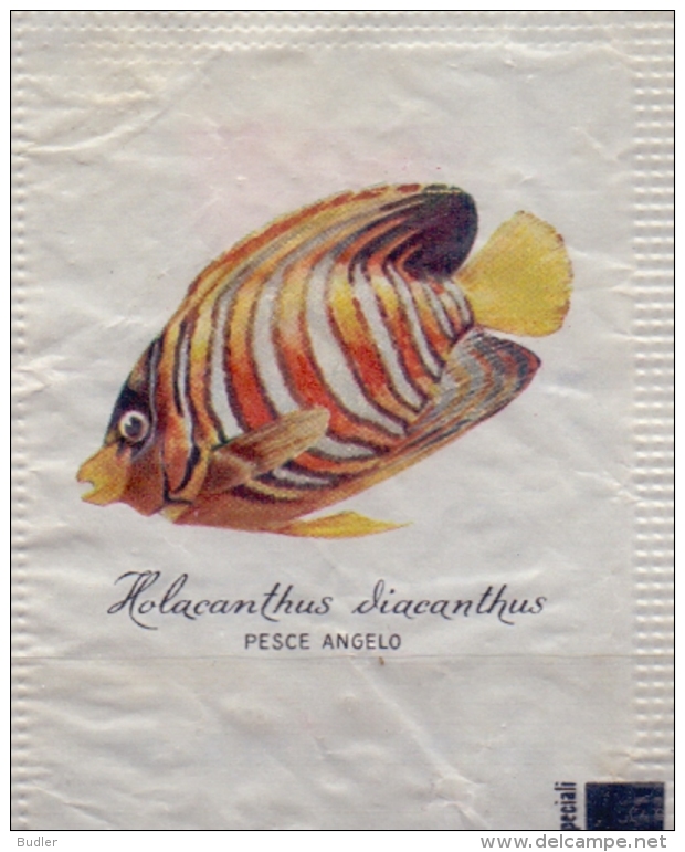 ITALIA : Suikerzakje/Sachet De Sucre/Sugar Package : VISSEN,POISSONS,FISHES, ## HOLACANTHUS DIACANTHUS – Pesce Angelo ## - Sucres