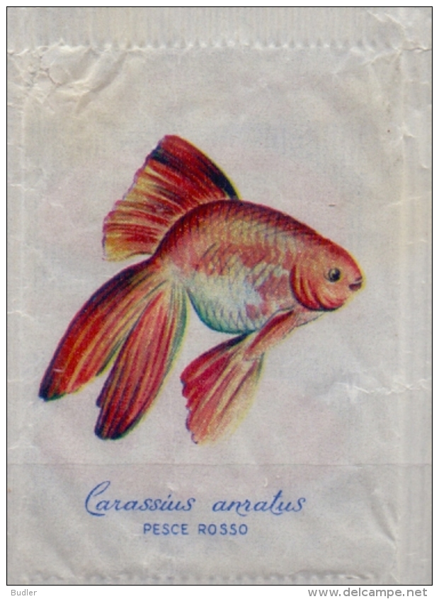 ITALIA : Suikerzakje/Sachet De Sucre/Sugar Package : VISSEN,POISSONS,FISHES, ## CARASSIUS ANRATUS – Pesce Rosso ## - Sucres