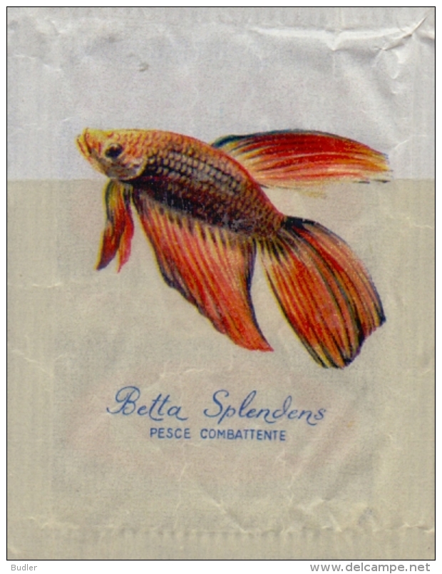 ITALIA : Suikerzakje/Sachet De Sucre/Sugar Package : VISSEN,POISSONS,FISHES, ## BETTA SPLENDENS–Pesce Combattente ## - Suiker