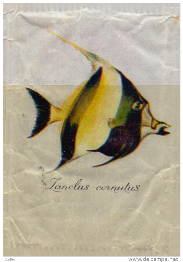 ITALIA : Suikerzakje/Sachet De Sucre/Sugar Package : VISSEN,POISSONS,FISHES, ## ZANCLUS CORNUTUS ## - Suiker