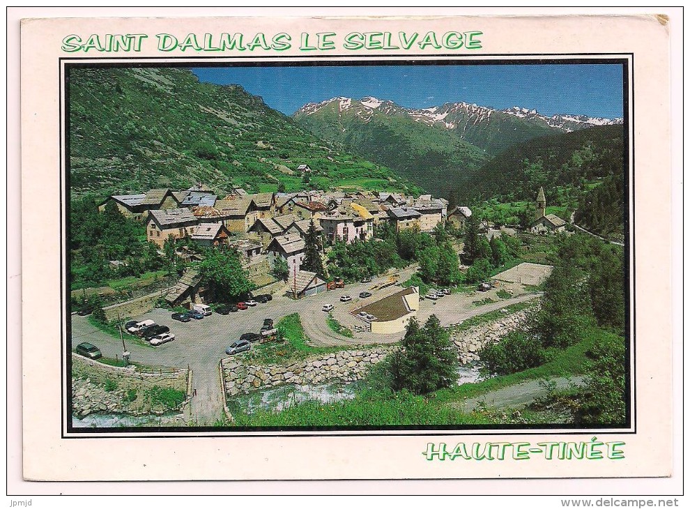 06 - SAINT-DALMAS LE SELVAGE - Altitude 1500 M. - Ed. OMNI´CART N° 3118 - Saint-Etienne-de-Tinée