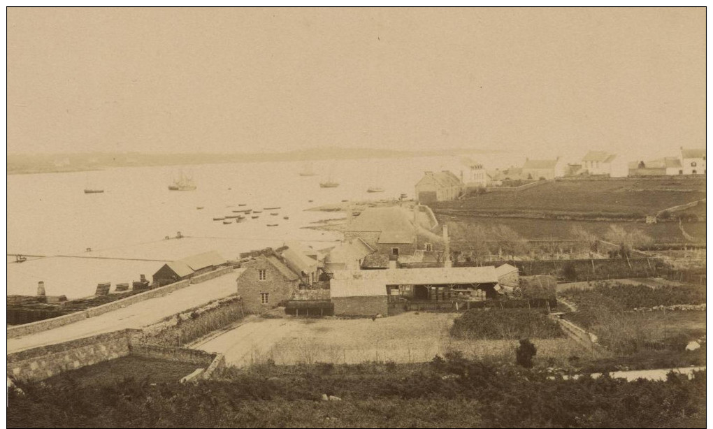 LA TRINITE SUR MER   PHOTO - La Trinite Sur Mer