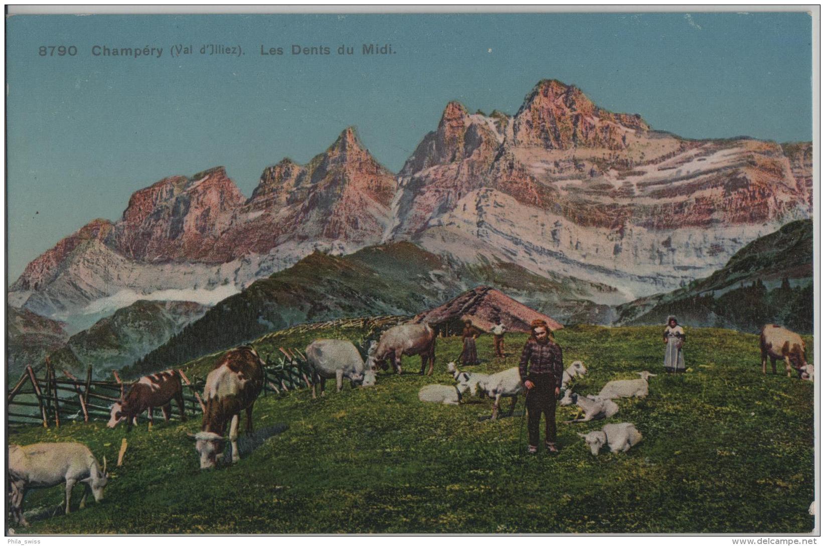 Champery (Val D'Jlliez) Les Dents Du Midi - Kuherde Animee Belebt Vaches - Phototypie No. 8790 - Autres & Non Classés