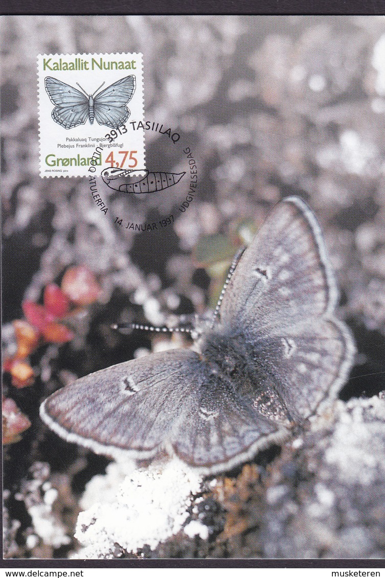 Greenland 3 Maximum Cards Karte 1997 Butterfly Schmetterling Papillon (4 Scans) - Cartes-Maximum (CM)