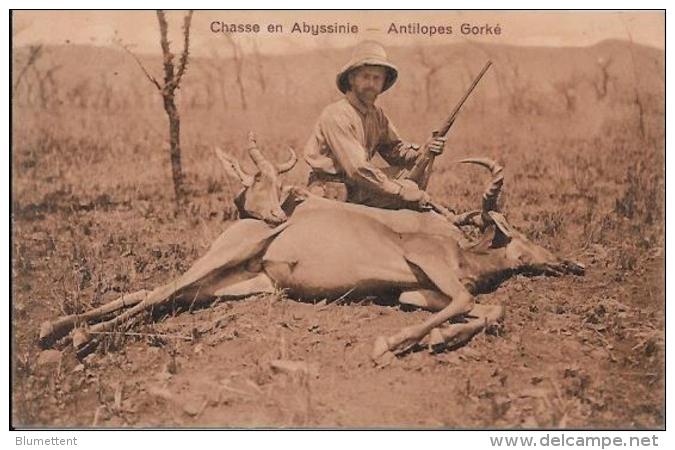 CPA Ethiopie Abyssinie Non Circulé Chasse Chasseur - Ethiopie