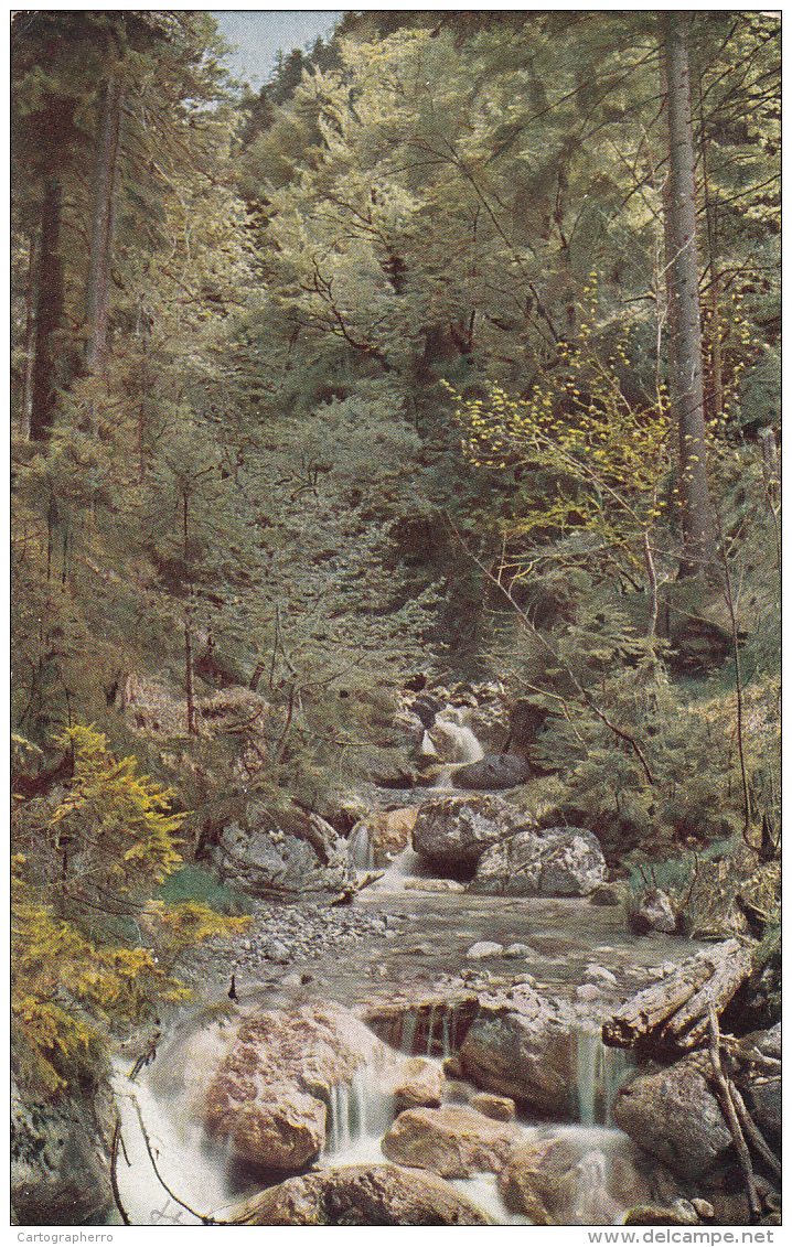 AK River Forest Foret Germany Waterfalls Place To Identify, Aufnahmen Von Hans Hildenbrand - Zu Identifizieren