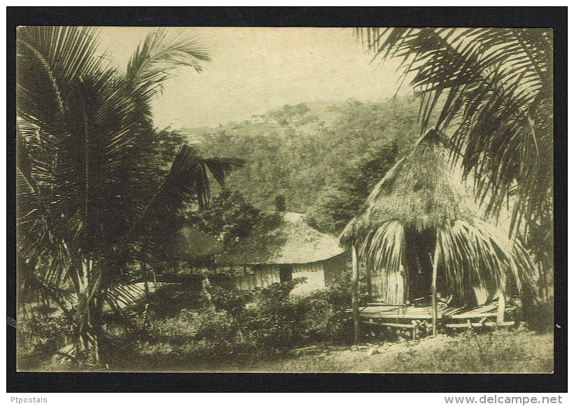 TIMOR PORTUGUÊS - Trecho De Uma Povoação Indigena - Timor Oriental