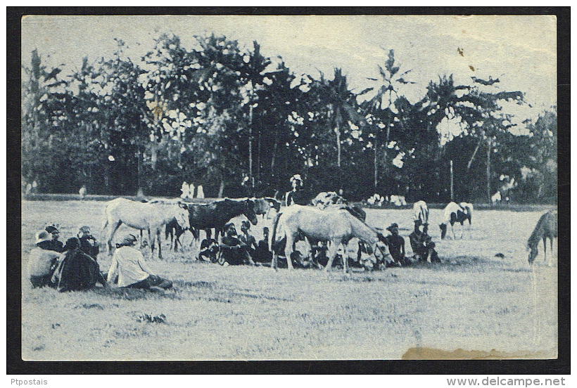 TIMOR PORTUGUÊS - Tipos E Costumes (Acampamento) - Oost-Timor