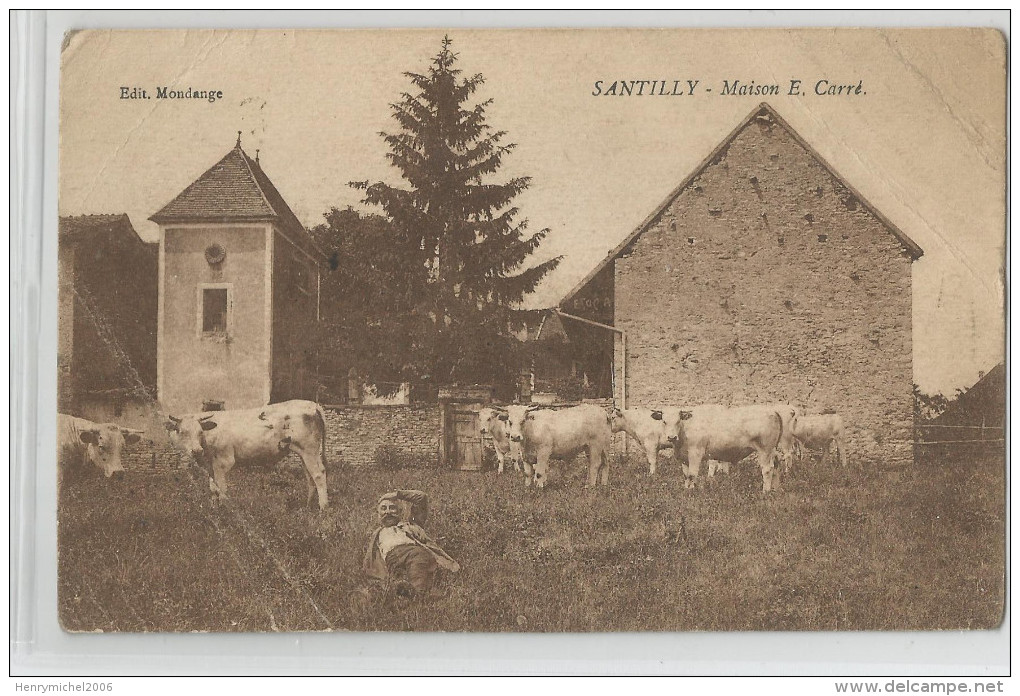 Saone Et Loire - 71 - Santilly Maison E. Carré Ferme Vaches Ed Mondange - Autres & Non Classés