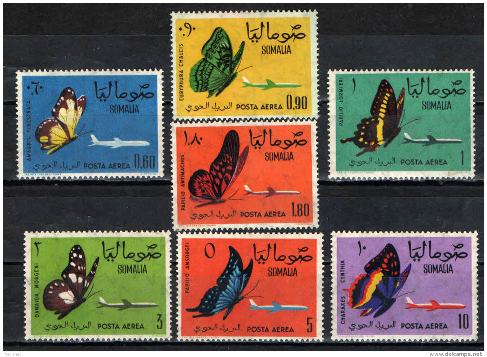 SOMALIA - 1961 - FARFALLE - BUTTEFLIES - POSTA AEREA - NUOVI MNH - Somalia (1960-...)