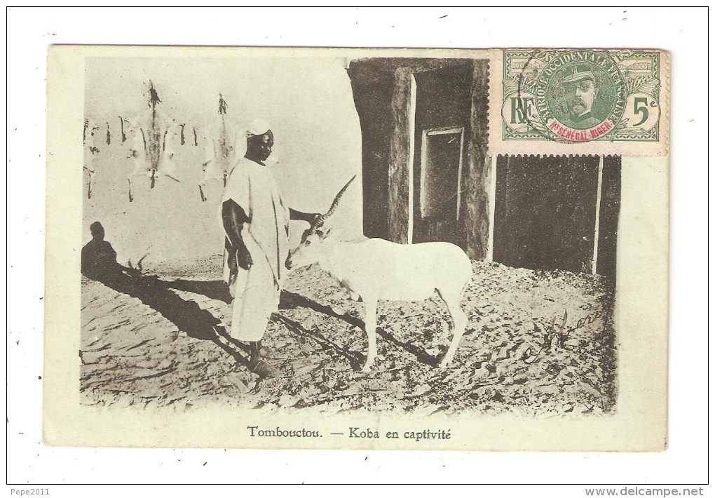 CPA MALI TOMBOUCTOU Koba En Captivité  1908 - Mali