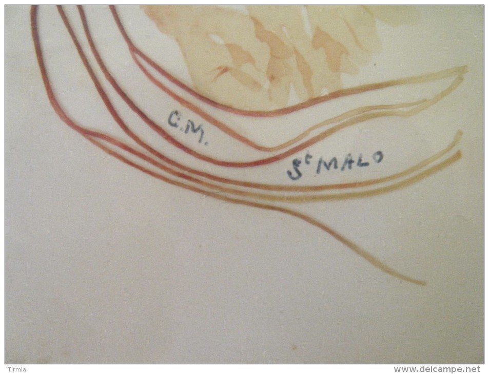 Dessine En  Aquarelle Les Petites Les Feuilles Sont Végétaux  Vraie - CM. -  S.Malo - Other & Unclassified