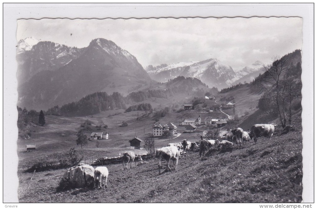 Les Sciernes D´Albeuve. Pâturage, Troupeau Avec Berger - Albeuve