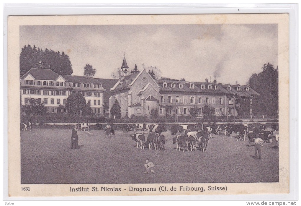 District De La Glâne. Drognens Près Siviriez, Institut St. Nicolas, Vaches Blanches Et Noires - Siviriez