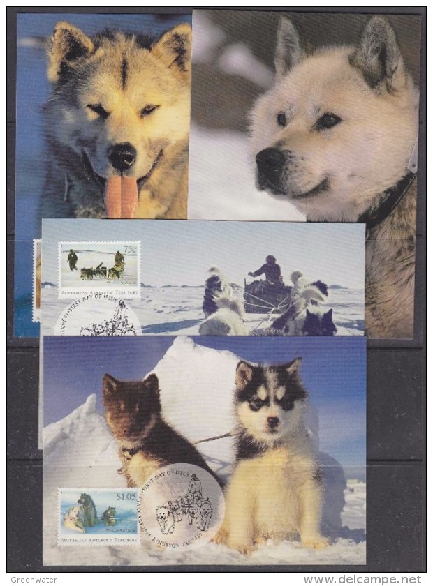 AAT 1994 The Last Huskies 4v 4 Maxicards  (32745) - Maximumkarten