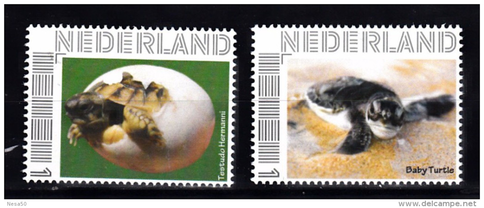 Nederland  Persoonlijke Zegel Schildpadden, Turtle 2 X   (1) - Neufs