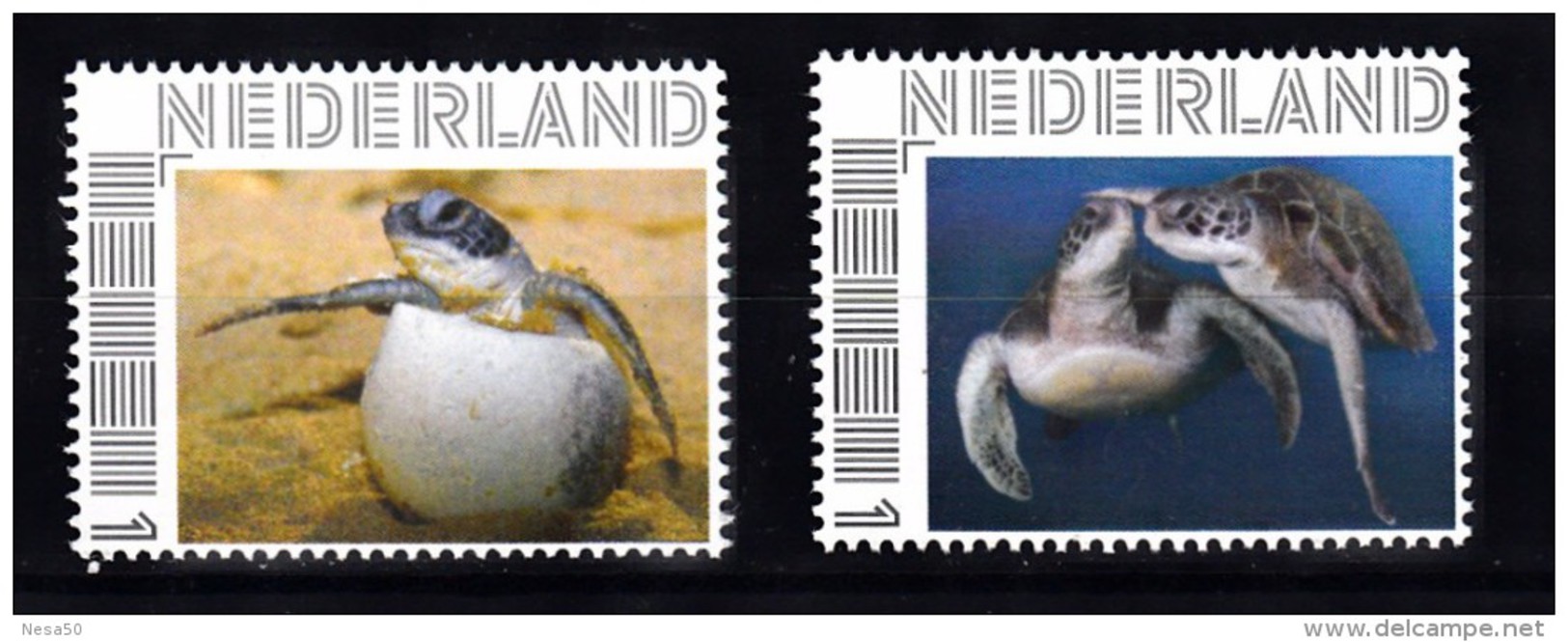 Nederland  Persoonlijke Zegel  Schildpadden, Turtle 2 X   (2) - Neufs