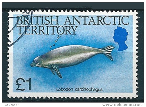 Brit. Antarctic-Territory 1984  Lobodon  1 Pound  Mi-Nr. 122 Gestempelt / Used - Gebraucht