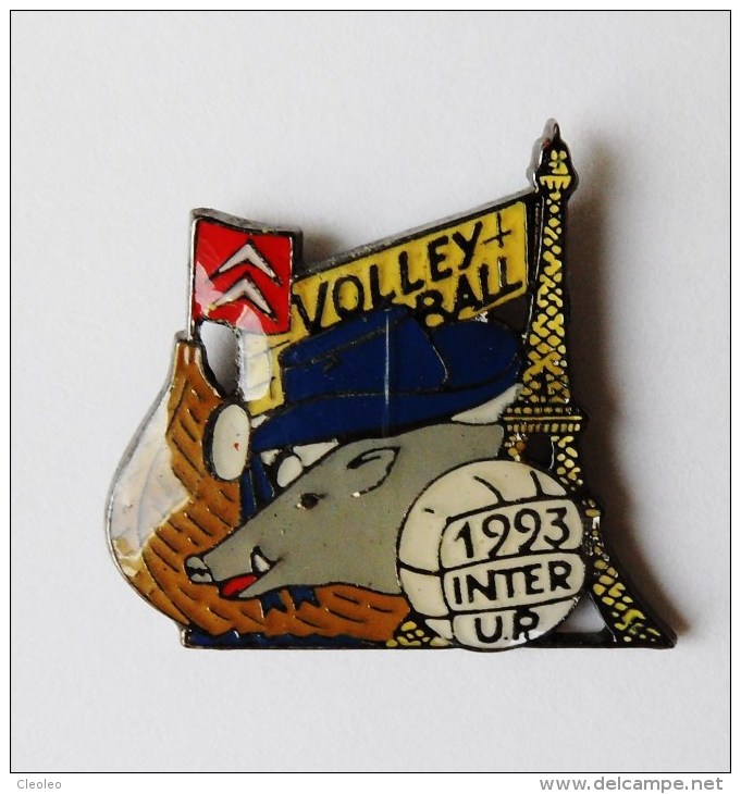 Pin´s Volley Ball Citroen Inter UR 1993 Sanglier Tour Eiffel - Other & Unclassified