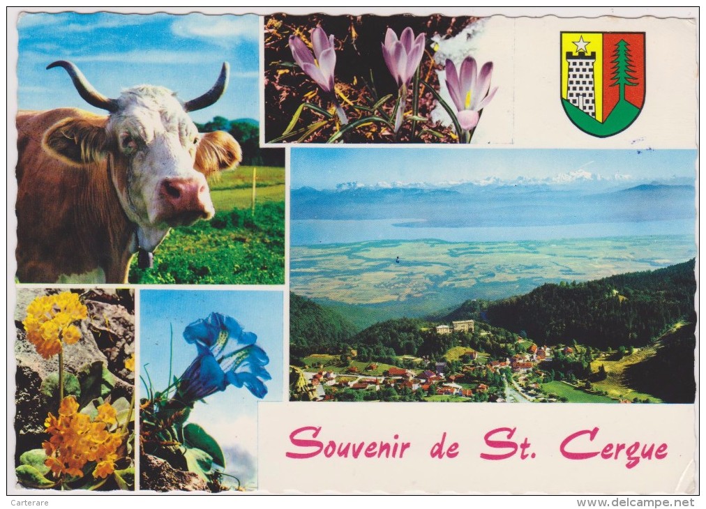 SUISSE,SWITZERLAND,SWISS, HELVETIA,SCHWEIZ,SVIZZERA,SAINT CERGUE ,VAUD,NYON,photo Montage 1968 - Saint-Cergue