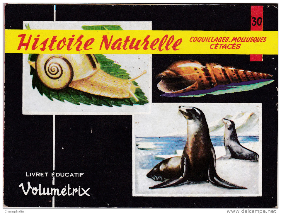 Livret éducatif Volumétrix - N°30 - Histoire Naturelle XII - Coquillages, Mollusques & Cétacés - Learning Cards