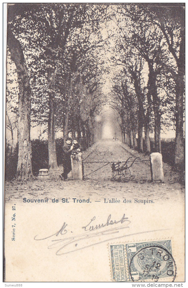 Sint Truiden Saint Trond - Souvenir - L'Allée Des Soupirs (animation, Vanderauwera & Cie, 1901) - Sint-Truiden