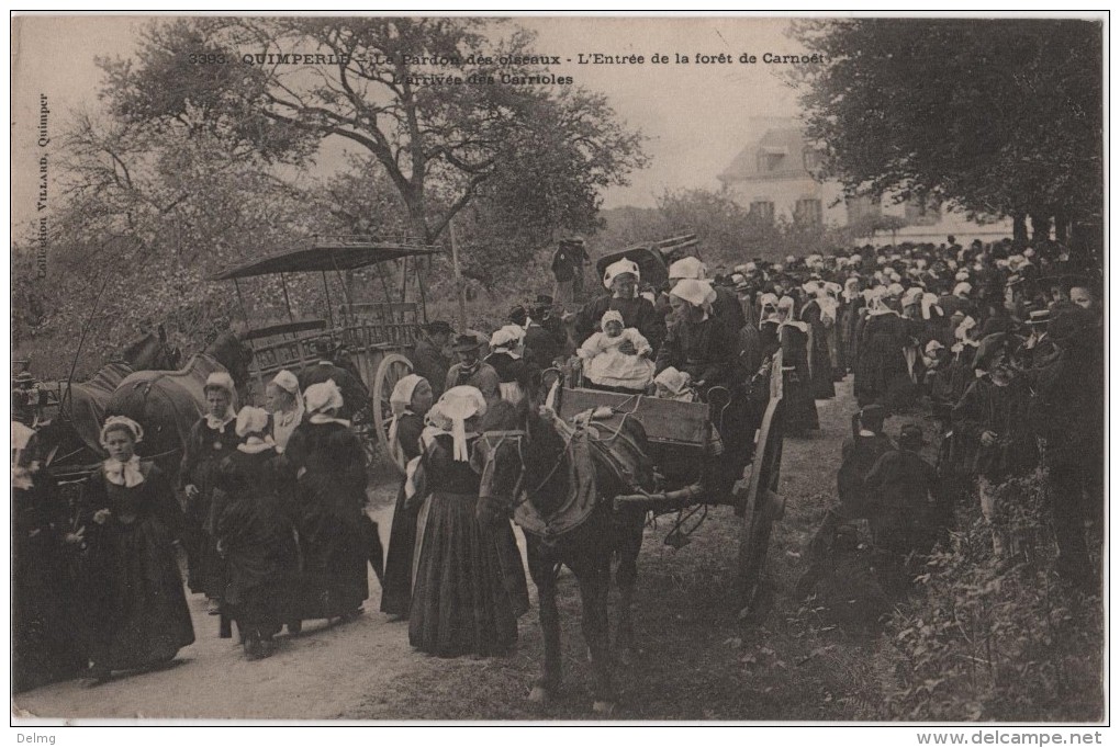 CPA 29 Quimperlé Le Pardon Des Oiseaux L'entrée De La Forêt De Carnoet L'arrivée Des Carrioles - Quimperlé