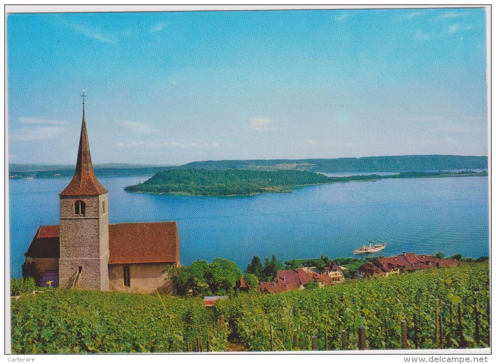 SUISSE,SWITZERLAND,SCHWEIZ,BERNE,BERN,LAC DE BIENNE,BIEL,GLERESSE,PHOTO MOSER ,EGLISE DE TWANN - Bienne