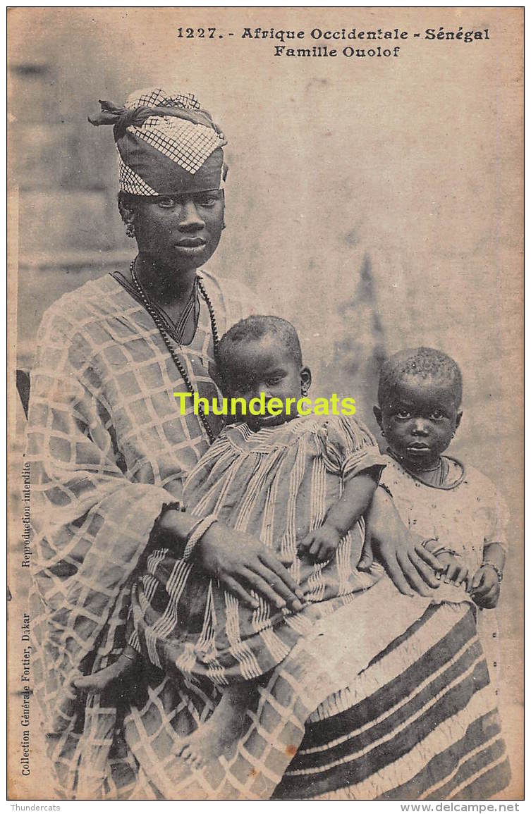 CPA AFRIQUE OCCIDENTALE SENEGAL COLLECTION FORTIER  FAMILLE OUOLOF - Sénégal