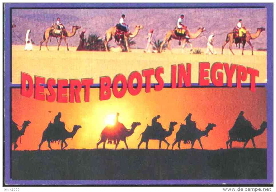 Egypt 2004 Used Postcard Send To Italy (Camel Caravan) - Brieven En Documenten