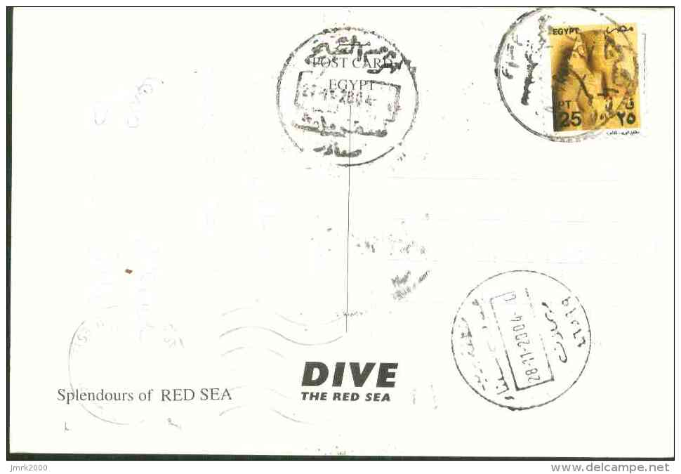 Egypt 2004 Used Postcard Send To Italy (Red Sea) - Lettres & Documents