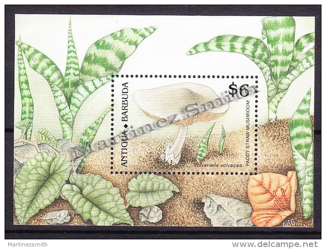 Antigua 1989 Yvert BF 163, Flora, Mushrooms - Miniature Sheet - MNH - Antigua En Barbuda (1981-...)