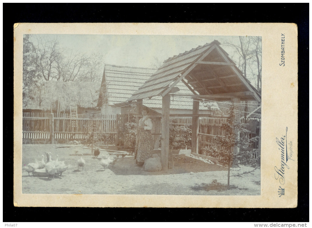 Older Woman In The Yard With Goose / Cardboard Dimension 10.5x16.5 Cm / 2 Scans - Anciennes (Av. 1900)