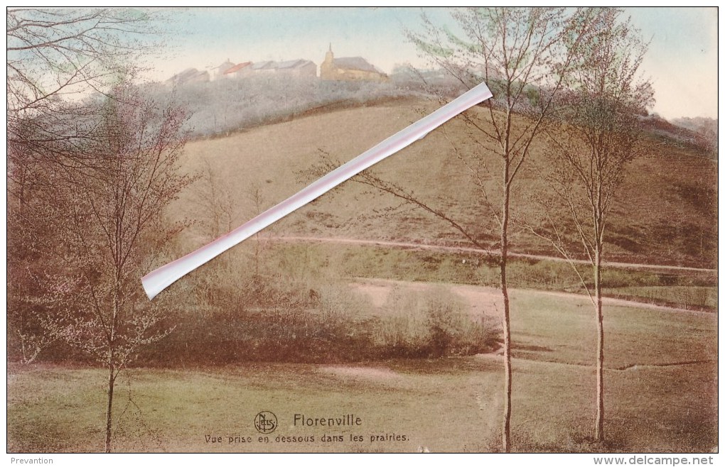 FLORENVILLE - Vue Prise En Dessous Dans Les Prairies - Carte Colorée - Quaregnon