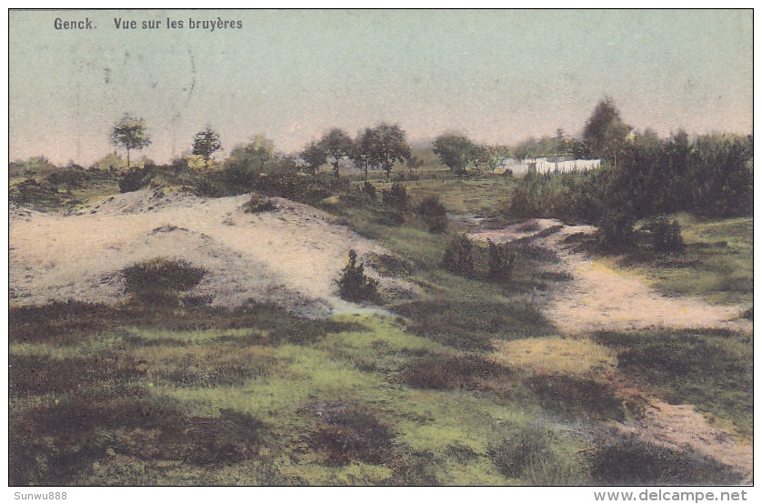 Genk Genck - Vue Sur Les Bruyères (colorisée, 1910) - Genk