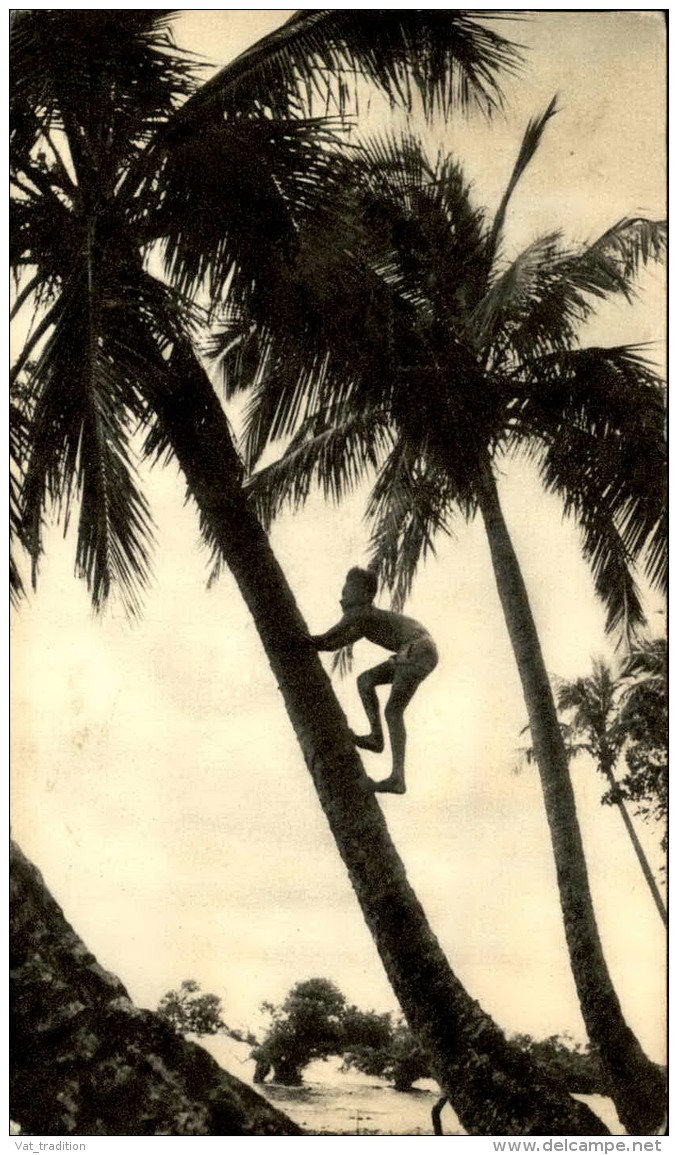 NOUVELLE CALÉDONIE - Carte Publicitaire " Dans Le Sillage De Bougainville " En 1954 Pour La France - A Voir - L  4249 - Lettres & Documents