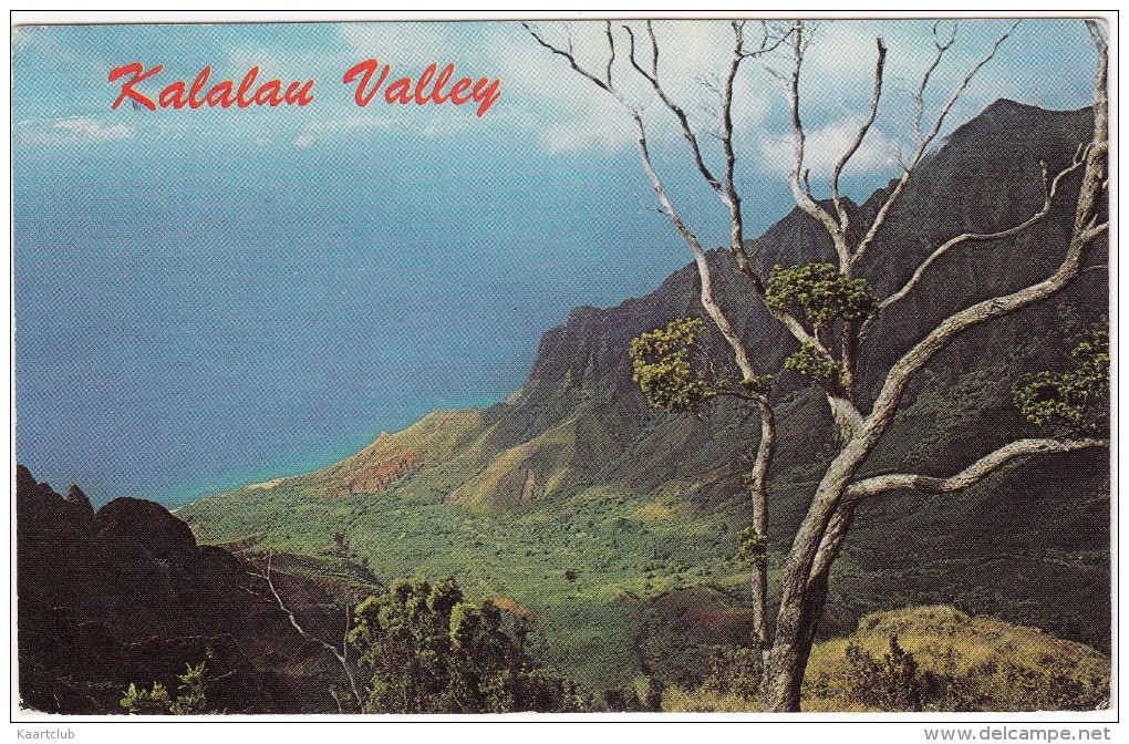 Kalalou Valley  -  Kauai's Wild Na Pali Region - (1973) - Hawaii - USA - Kauai