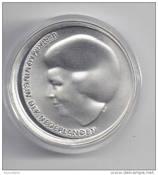 NEDERLAND 10 EURO Zilver 2002 - Huwelijk Kroonprins - PROOF In Capsule - Pays-Bas