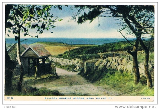 RB 1123 -  Raphael Tuck Postcard - Bullock Shoeing Stocks - Herm Guernsey Channel Islands - Herm