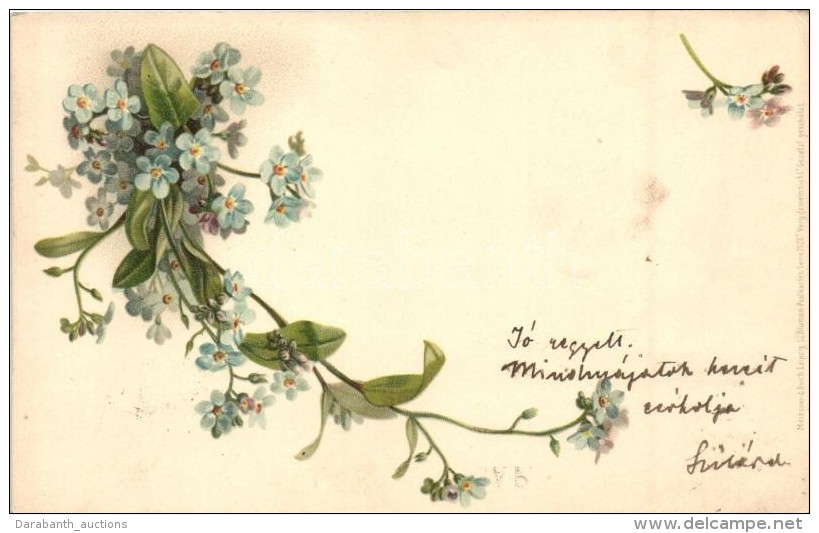 T1/T2 Flowers. Meissner &amp; Buch 12 Blumen-Postkarte Serie 1028. Litho - Unclassified