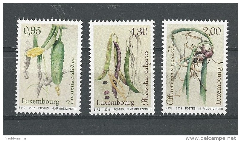 Luxembourg: Nouveauté 2016 **  Légumes - Unused Stamps