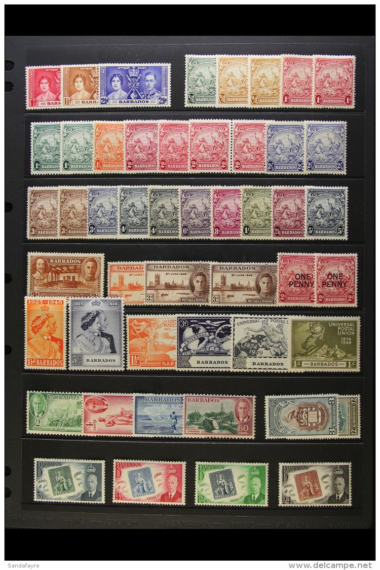 1937-52 MINT KGVI COLLECTION Presented On A Stock Page, Highly Complete With Many Shade &amp; Perforation... - Barbados (...-1966)